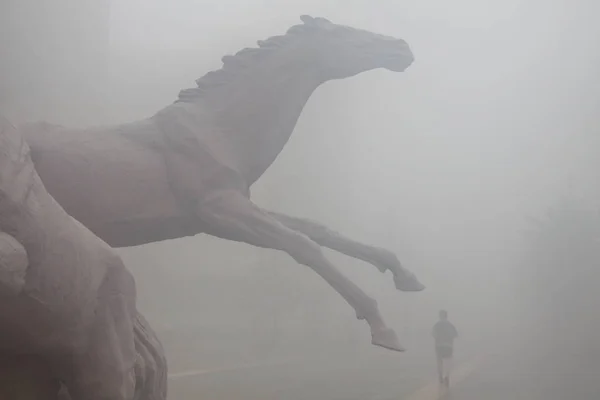 Ένας Ντόπιος Κάτοικος Εμφανίζεται Αμυδρά Ένα Δρόμο Έντονη Ομίχλη Στην — Φωτογραφία Αρχείου