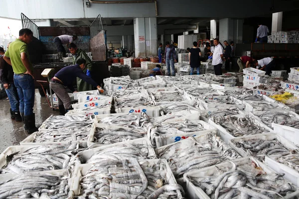 Fischer Verladen Fisch Nach Aufhebung Eines Fangverbots Einem Hafen Der — Stockfoto