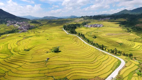 Aerial view of the terraced rice fields in Yunwu town, Guiding county, Qiannan Buyi and Miao Autonomous Prefecture, southwest China's Guizhou province, 18 September 2017.