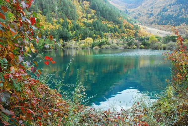 Landschaft Des Glitzernden Sees Jiuzhaigou Tal Kreis Jiuzhaigou Ngawa Tibetische — Stockfoto