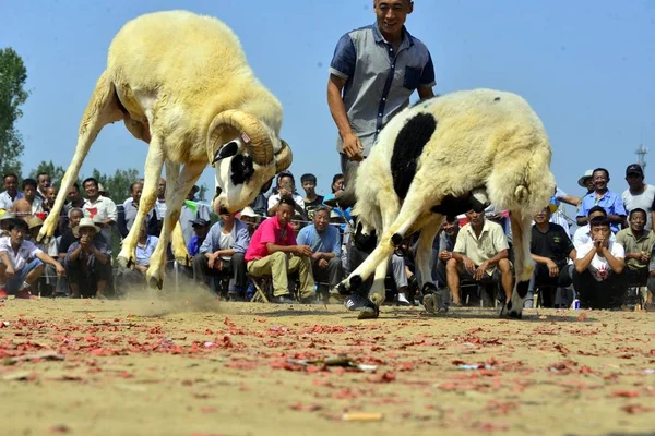 Yöre Litai Town Yanggu Lçesi Liaocheng Şehir Doğu Çin Shandong — Stok fotoğraf