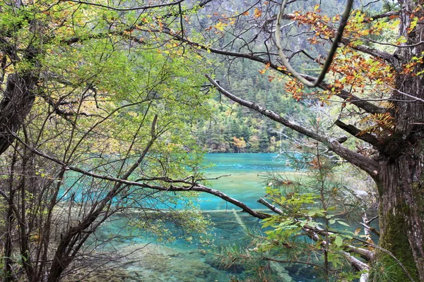 Landschaft Des Glitzernden Sees Jiuzhaigou Tal Kreis Jiuzhaigou Ngawa Tibetische — Stockfoto