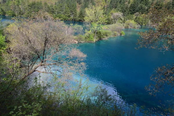 Paesaggio Del Lago Scintillante Nella Valle Jiuzhaigou Nella Contea Jiuzhaigou — Foto Stock