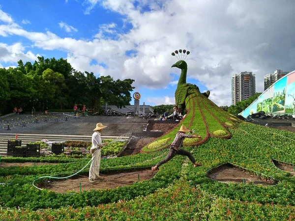 Parterre Gigante Com Tema Pavão Está Sendo Construído Shenzhen Província — Fotografia de Stock