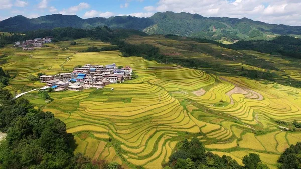 Luchtfoto Van Terrasvormige Rijstvelden Yunwu Stad Guiding Powiat Qiannan Buyi — Stockfoto