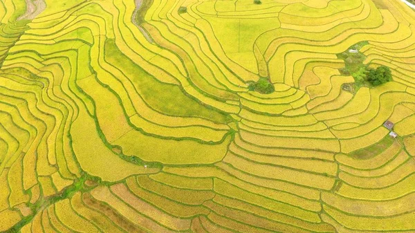 Aerial View Terraced Rice Fields Yunwu Town Guiding County Qiannan — Stock Photo, Image