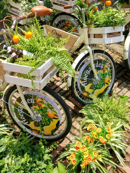 View Environment Themed Shared Bicycle Named Green House Decorated Lots — стоковое фото