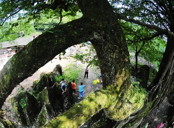 Los Pueblos Chinos Disfrutan Del Fresco Bajo Antiguo Árbol Con — Foto de Stock