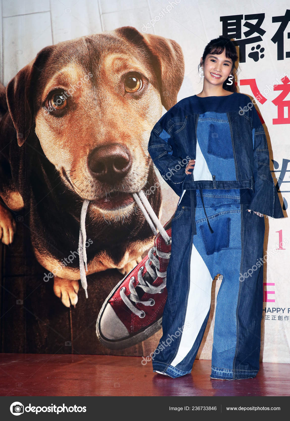 a dog's way home premiere