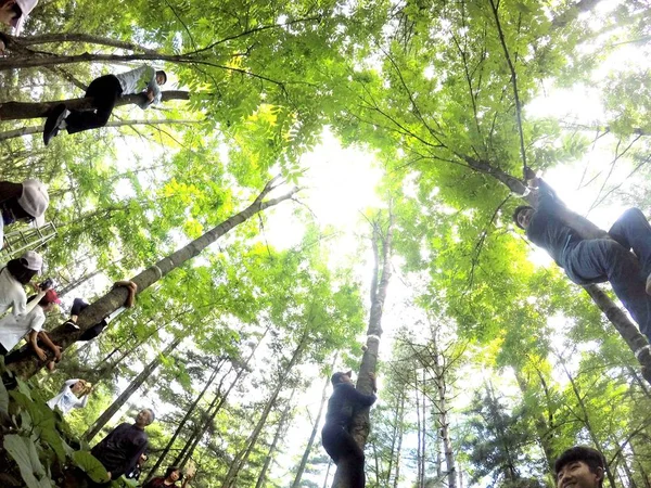 Kínai Állampolgárok Versenyeznek Mászó Verseny Baiyun Mountain National Forest Park — Stock Fotó