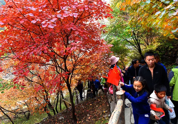 Turisták Összegyűlnek Hogy Megtekinthesse Fordult Levelek Hatodik Éves Red Leaves — Stock Fotó