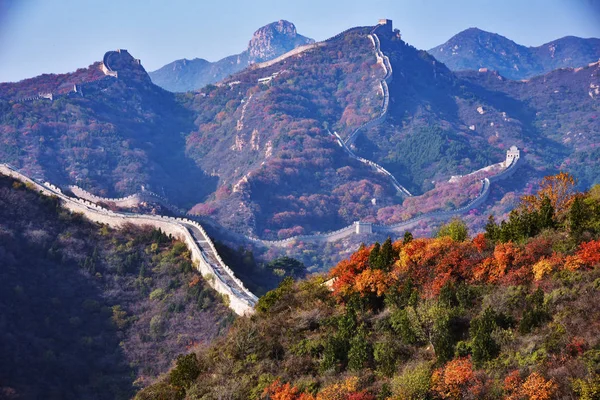 Landscape Badaling Great Wall Enveloped Thick Autumn Foliage Bursting Autumn — Stock Photo, Image