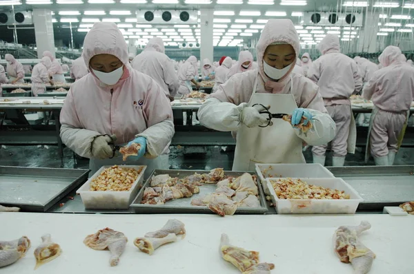 Chinesische Arbeiter Verarbeiten Hühner Fließband Einer Fabrik Der Xinchang Group — Stockfoto
