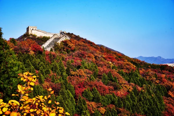 Landscape of the Badaling Great Wall enveloped in thick autumn foliage bursting with autumn colors in Beijing, China, 19 October 2017.