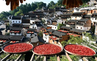Hot peppers and corns are dried under the sun in Huangling village, Wuyuan county, Shangrao city, east China's Jiangxi province, 17 September 2017 clipart