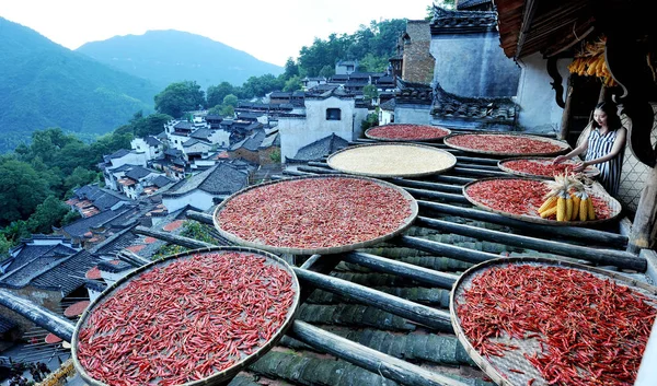 Peperoni Piccanti Calli Sono Essiccati Sotto Sole Nel Villaggio Huangling — Foto Stock