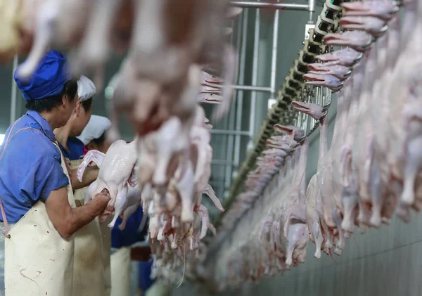 Китайские Рабочие Перерабатывают Уток Птицебойне Городе Сяоган Провинция Хубэй Сентября — стоковое фото