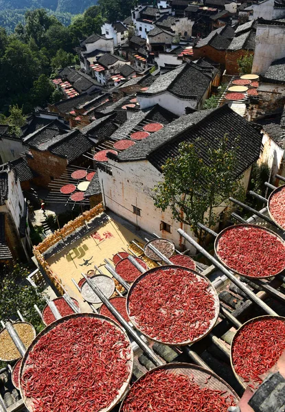 Chilischoten Und Maiskörner Werden Unter Der Sonne Huangling Village Wuyuan — Stockfoto