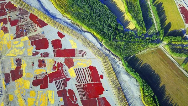 Vue Aérienne Des Piments Sécher Air Dans Préfecture Autonome Mongole — Photo