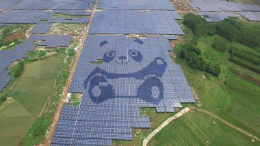 Aerial view of the world's second solar power station shaped like giant pandas in Guigang city, south China's Guangxi Zhuang Autonomous Region, 5 August 2017 clipart