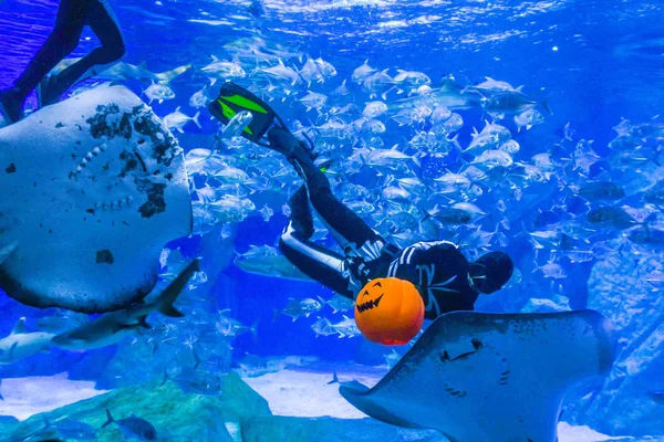 Motorista Usando Vestido Mergulho Com Padrão Esqueleto Humano Segurando Jack — Fotografia de Stock