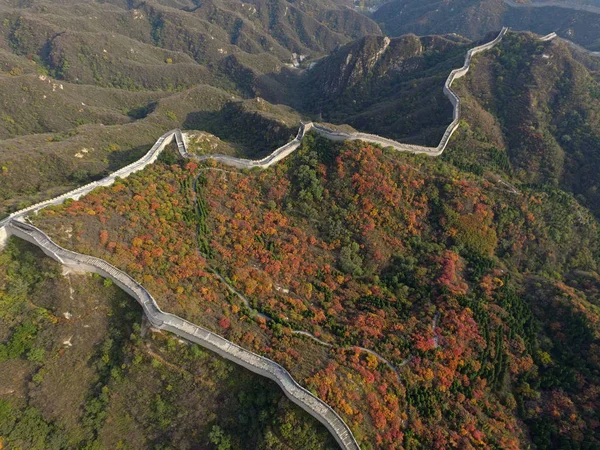 Τοπίο Από Σινικό Τείχος Badaling Τυλιγμένη Παχύ Φύλλωμα Φθινόπωρο Ρήξεως — Φωτογραφία Αρχείου