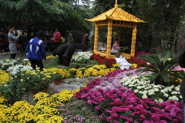 Zwiedzający Patrzą Złoty Pawilon Wykonany Kije Kukurydzianej Podczas Pokazu Kwiatów — Zdjęcie stockowe