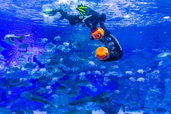 Conductores Con Vestidos Buceo Con Patrón Esqueletos Humanos Celebración Jack —  Fotos de Stock