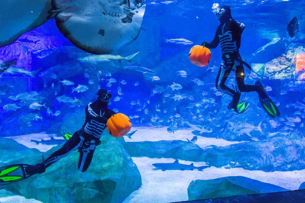 Conductores Con Vestidos Buceo Con Patrón Esqueletos Humanos Celebración Jack —  Fotos de Stock