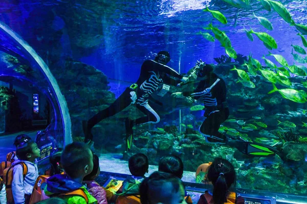 10月25日 在中国西南四川省成都市的一个海洋公园 身穿人体骨骼图案潜水礼服 手持杰克 灯笼的司机们在水下与海洋动物一起表演 — 图库照片