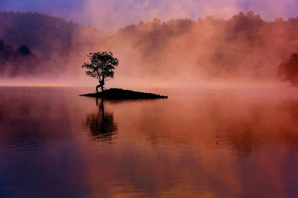 Krajobraz Jeziora Qishu Hazed Przez Mgły Huangshan Miasta Prowincji Anhui — Zdjęcie stockowe