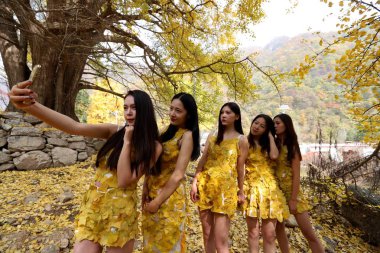 College students wearing golden clothes made of gingko leaves pose for photos at the Baiyun Mountain in Luoyang city, central China's Henan province, 29 October 2017 clipart