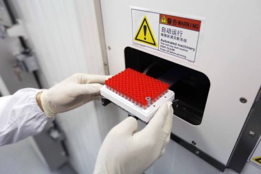 A Chinese researcher does experiments in a lab at the China's largest biobank, Shanghai Zhangjiang Biobank, in Zhangjiang High-Tech Park in Shanghai, China, 24 October 2017 clipart