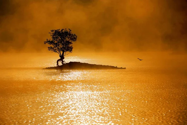 Пейзаж Озера Цису Затуманенный Туманом Городе Хуаншань Провинция Аньхой Востоке — стоковое фото