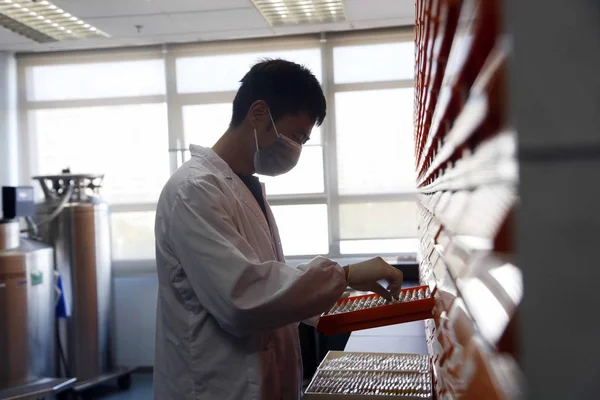 Een Chinese Onderzoeker Controleert 500 000 Tumor Weefsels Een Lab — Stockfoto