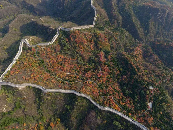 Τοπίο Από Σινικό Τείχος Badaling Τυλιγμένη Παχύ Φύλλωμα Φθινόπωρο Ρήξεως — Φωτογραφία Αρχείου