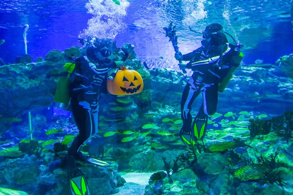 Conductores Con Vestidos Buceo Con Patrón Esqueletos Humanos Celebración Jack —  Fotos de Stock