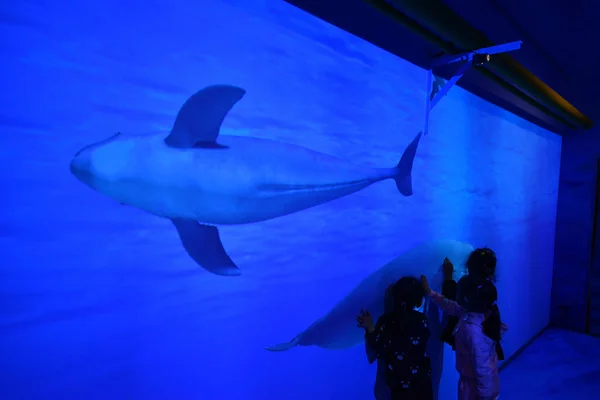 Les Enfants Interagissent Avec Des Affichages Tridimensionnels Holographiques Dynamiques Vache — Photo