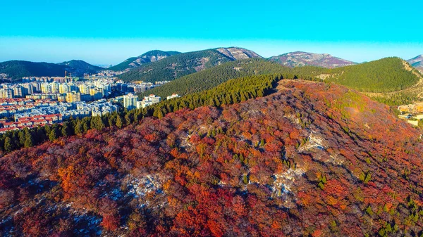 Ένα Λόφο Καλυμμένο Πράσινο Και Κόκκινο Χρώματα Δημιουργούν Μια Όμορφη — Φωτογραφία Αρχείου