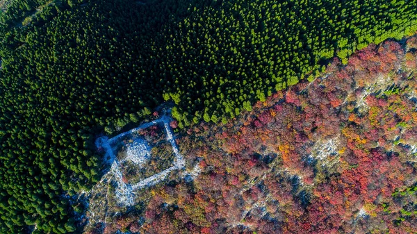 Une Colline Couverte Couleurs Vertes Rouges Crée Une Belle Scène — Photo