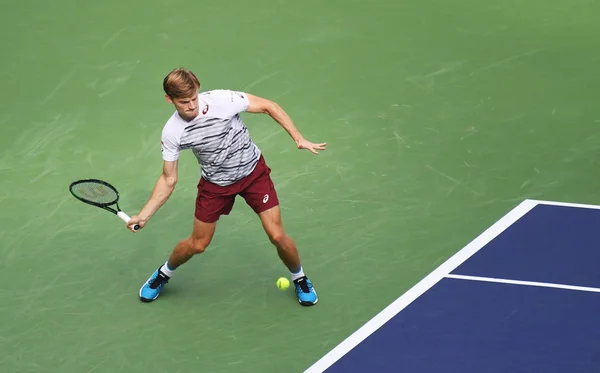 David Goffin Německo Vrací Výstřel Juan Martin Del Potro Argentiny — Stock fotografie