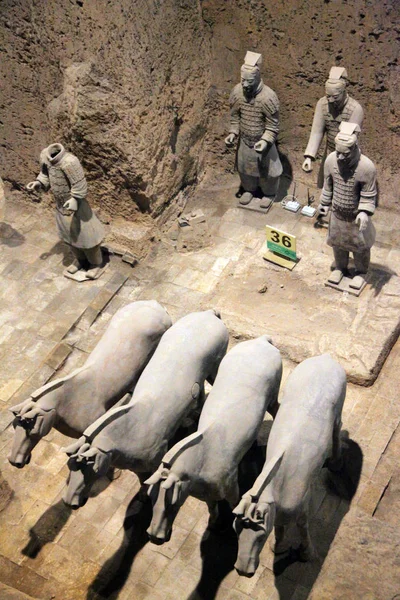 Από Τερακότα Και Άλογα Έχουν Εμφανιστεί Στο Pit Στο Μουσείο — Φωτογραφία Αρχείου