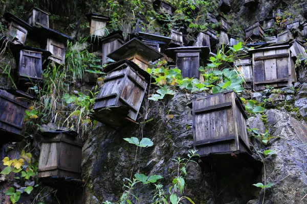View Beehives Cliff Guanmen Mountain Muyu Town Shennongjia Forestry Reserve — стоковое фото