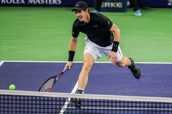 Andy Murray Της Μεγάλης Βρετανίας Αντιδρά Μετά Από Λείπει Μια — Φωτογραφία Αρχείου