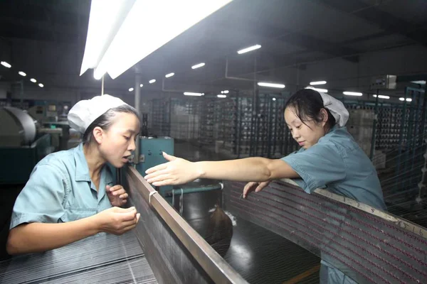 中国東部江蘇省蘇州市の繊維工場で糸の生産を担当する中国人女性労働者 2016年9月10日 — ストック写真