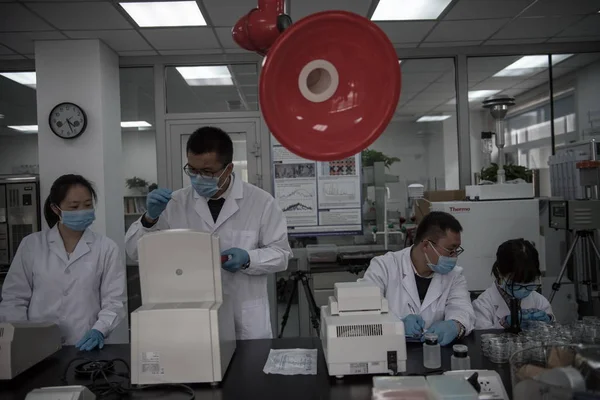 Chinese Onderzoeker Fasi Zijn Teamgenoten Van Dunhuang Academy Test Monsters — Stockfoto