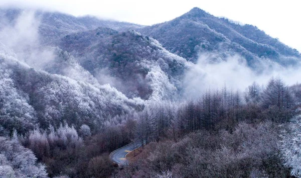 Paesaggio Della Riserva Naturale Nazionale Shennongjia Nella Neve Nel Distretto — Foto Stock