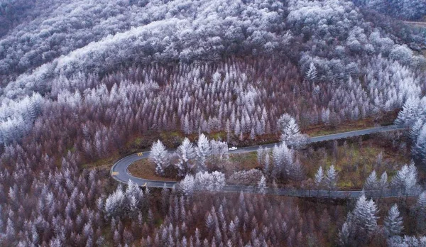 Landschaft Des Shennongjia National Nature Reserve Schnee Shennongjia Forstbezirk Der — Stockfoto