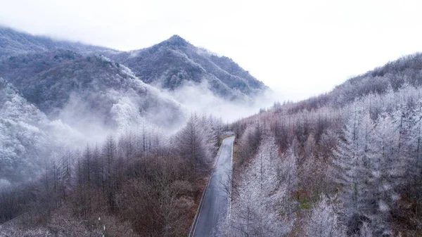 Landschaft Des Shennongjia National Nature Reserve Schnee Shennongjia Forstbezirk Der — Stockfoto