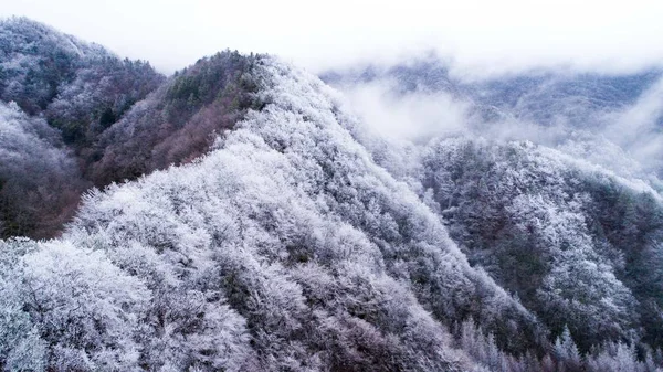 Paisaje Reserva Natural Nacional Shennongjia Nieve Distrito Forestal Shennongjia Provincia —  Fotos de Stock